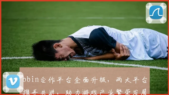 bbin合作平台全面升级，两大平台携手共进，助力游戏产业繁荣发展，
