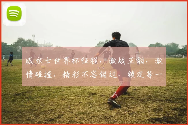 威尔士世界杯征程，激战正酣，激情碰撞，精彩不容错过，锁定每一刻精彩瞬间