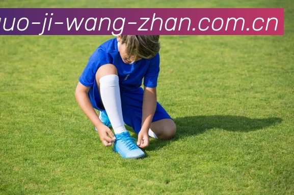 足球国际投注网站平台生态图