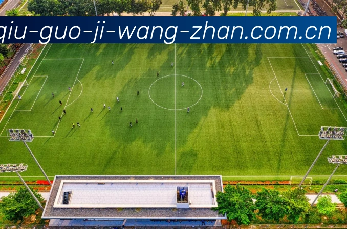 足球国际投注网站APP 封面图
